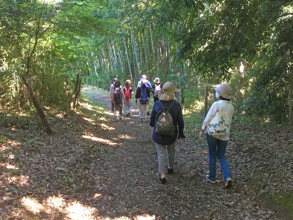 八王子の散策ハイキングサークルの皆さん