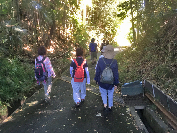 舗装された絹の道